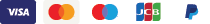 Payment Methods Visa Debit JCB Paypal Card