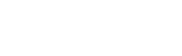 View CDVI