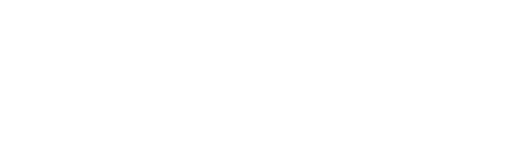View CDVI