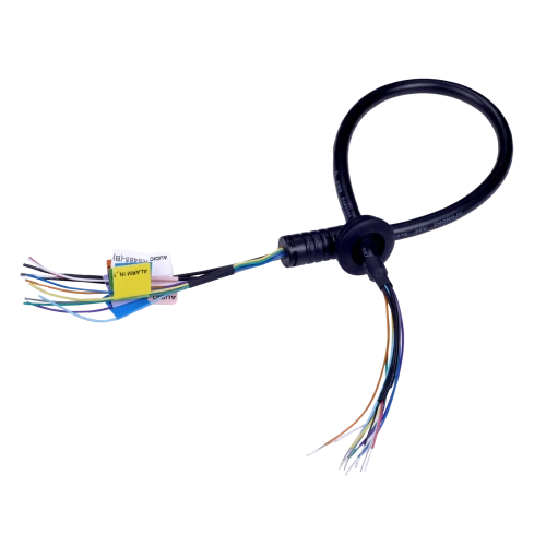 AO-008