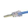 NW-C6-RJ45-PTX100